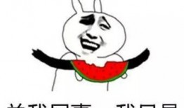 做个吃瓜群众的意思是什么,网络时代的旁观者与评论者