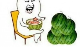 娱乐节目吃瓜,揭秘明星幕后故事